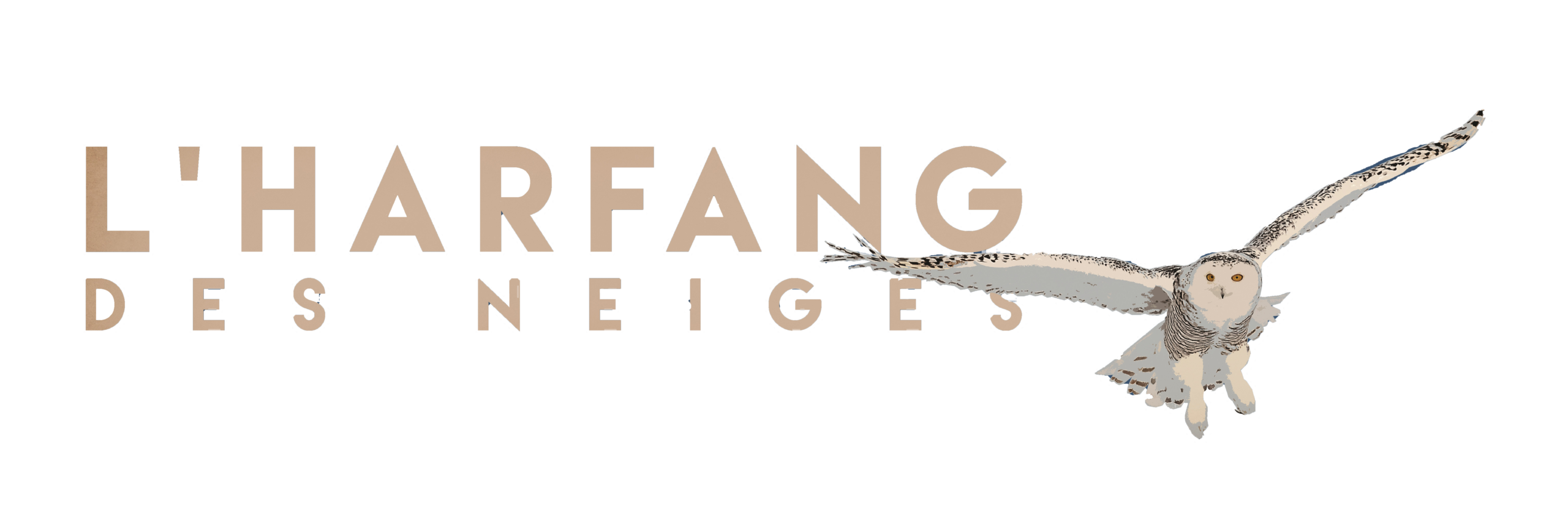 L'Harfang des neiges – Location de ski – Station Les Gets 74260